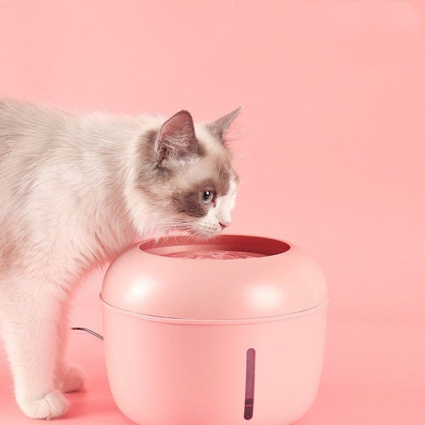 pethomeset Food Bowl Pet Smart Drinking Water Device | Pethomeset