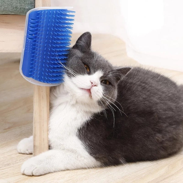 pethomeset Pet Cat Self-Grooming Brush | Pet Wall Rubbing Device | Pethomeset