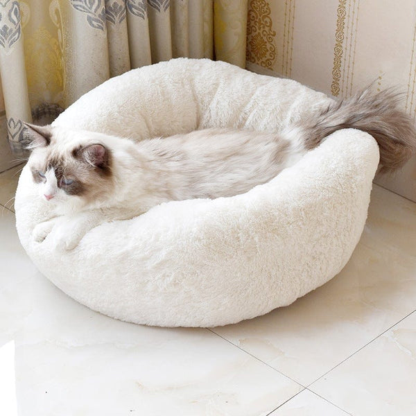 pethomeset Pet Pet Cat Bed With Blanket Soft Cat Bed | Pethomeset